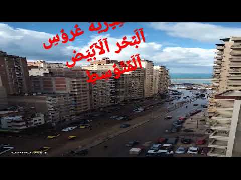 شاهد روعة بحر سيدي بشر محمد نجيب