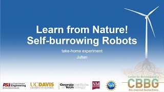 Self burrowing Robot