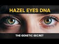 Hazel Eyes A Genetic Mystery Finally Explained Hazel Eyes A Genetic Mystery Finally Explained