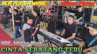 Download Lagu CINTA SEBATANG TEBU - NEW PERSON MUSIC - VOC. MOONO DHUT - INUNG PIANO {LIVE DAYUNG} 24-25 JAN 2023 MP3