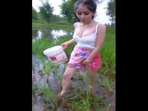  wanita  cantik dapat ikan besar di  sawah  YouTube