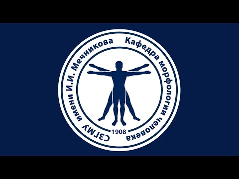 Спинной мозг. 04.04.22 - 10:25