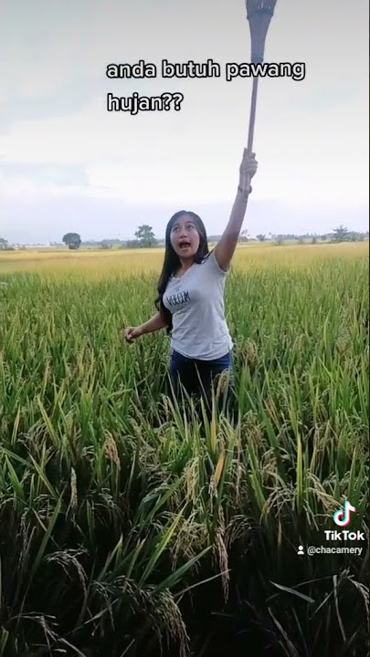 PAWANG UDAN Eka Mery susanti NGAMOX