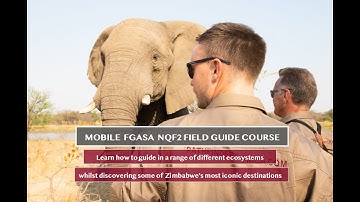 FGASA NQF2 Field Guide Course, Zimbabwe | Pathfinders Africa
