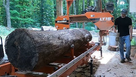 Black Walnut on the sawmill.