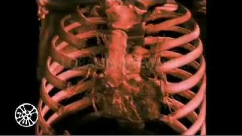 S.T.E.M - Science, Technology, Engineering, and Math