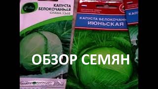 Обзор семян капусты на 2022 год//что буду сажать?