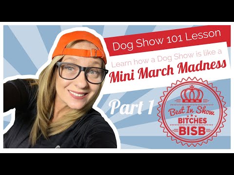 Video: Dog Show Terminology 101