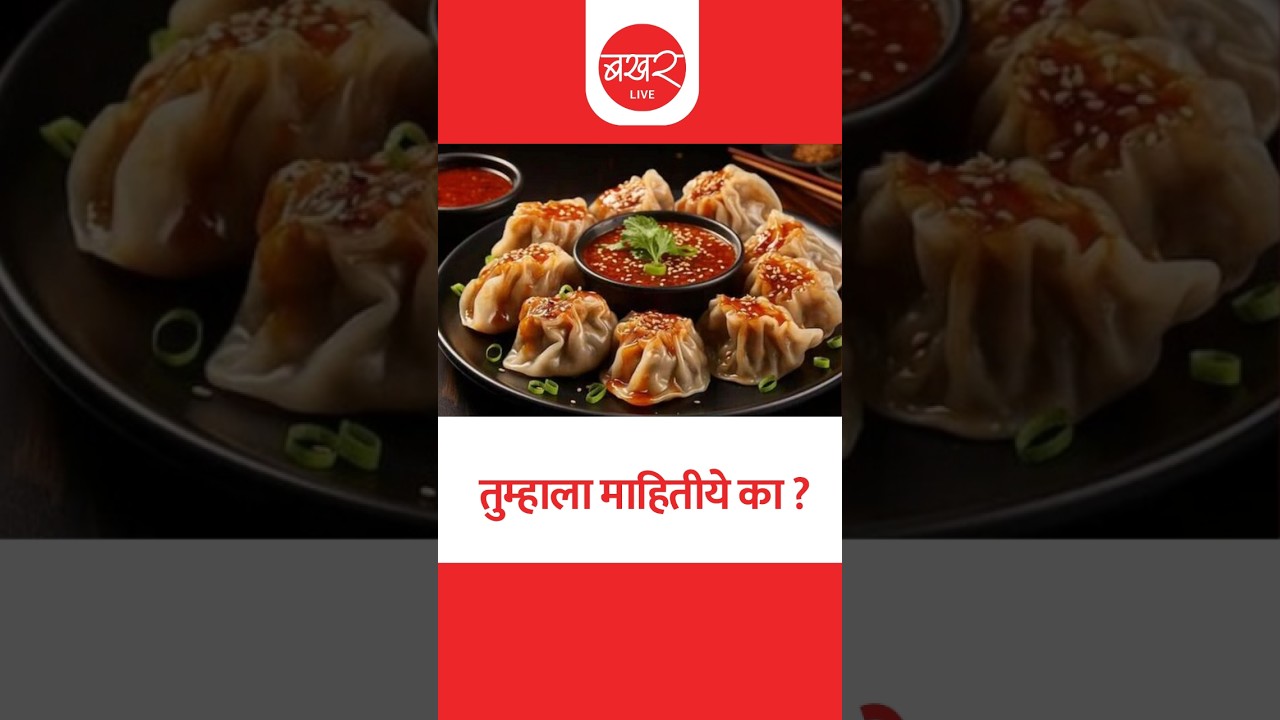 History of Momos | गल्लोगल्ली मिळणाऱ्या मोमोजचा इतिहास तुम्हाला माहितीये का? | Indian Street Food