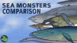 Sea Monsters : Animated Size Comparison