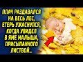 Голос раздавался на весь лес, егерь ужаснулся, когда увидел в яме его, присыпанного листвой…