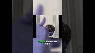 Sparkling Shower Screen: My Proven Cleaning Method