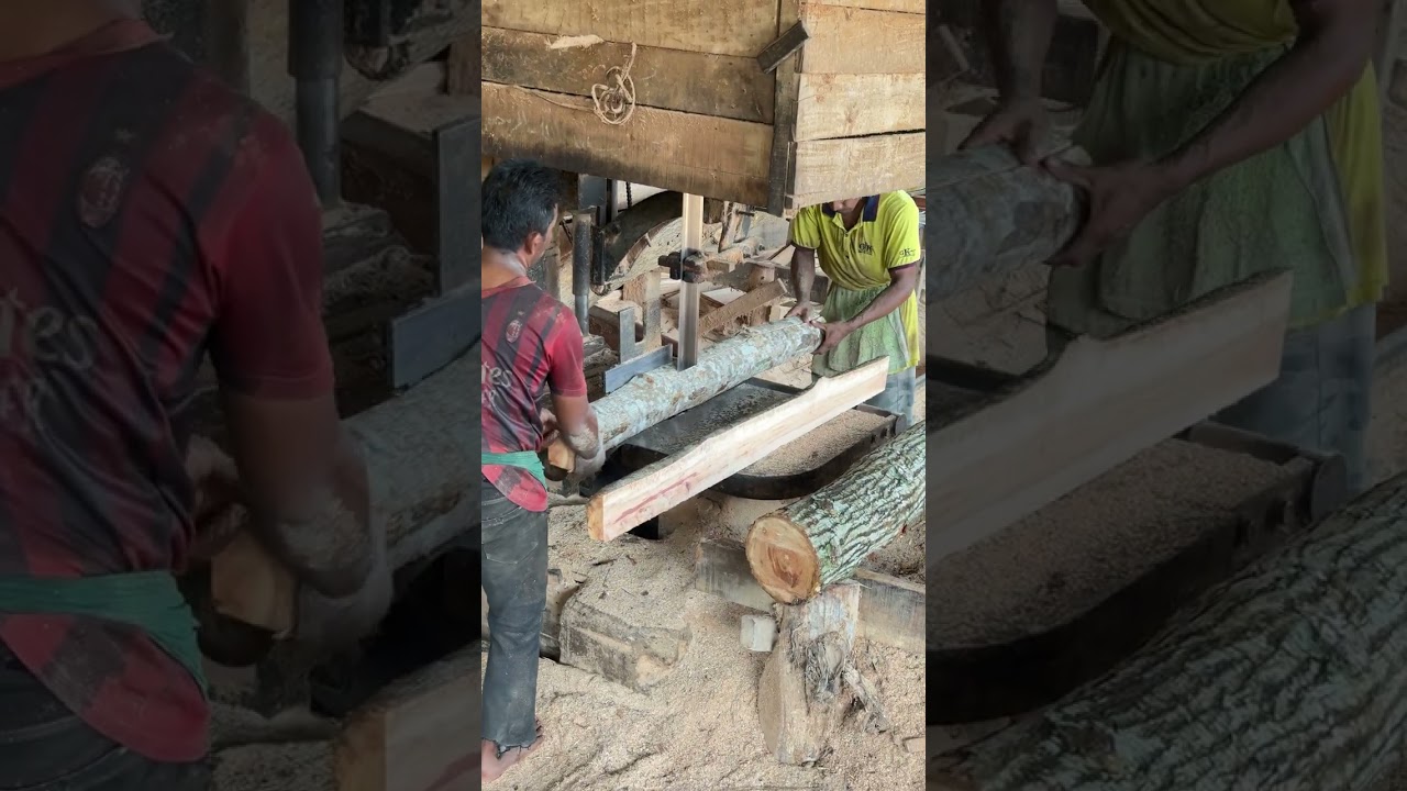 Mastering Precision Cutting and Wood Processing with Expert Sawmill Operators
