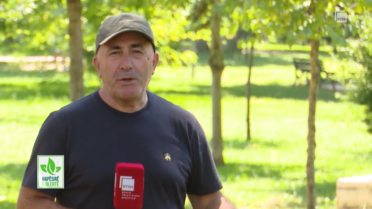 Bletaria në Shqipëri, problematikat dhe perspektiva | 