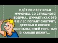 Идет по лесу Илья Муромец с бодуна. Сборник Веселых жизненных анекдотов! Приколы! Позитив!