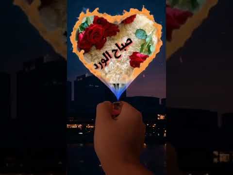سبح الخير