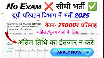 UP Government Job 2025 | Computer Programmer Vacancy | Salary ₹20,000 | Graduate Apply Now! 🚀