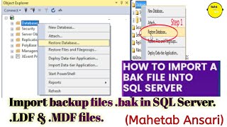 📢 Import Backup Database file in SQL Server | SQL Server .LDF & .MDF files | #sql #sqlserver 💎