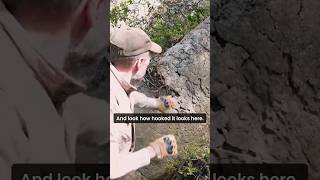 ICE AGE TITAN l UNEARTHED