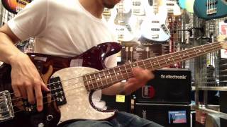 Aguilar® 4SD-D1 Cápsulas Bajo 4 Cuerdas Super Doble® Bartolini® Set: 2 Unidades video