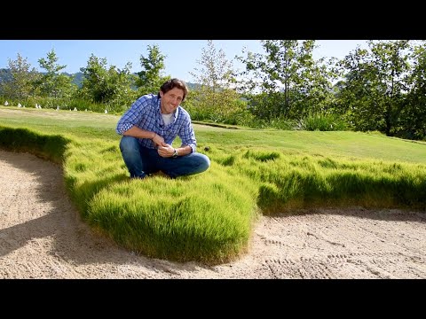 Video: Controllare l'erba Zoysia: come tenere fuori Zoysia