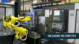 HALTER Extra functionalities  - Unloading on conveyer belt