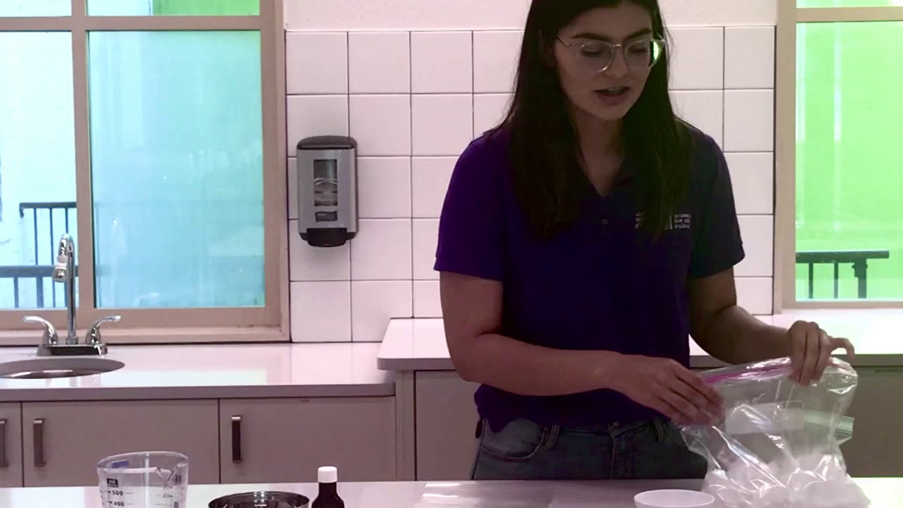 Ice Cream in a Bag (Spanish) YouTube