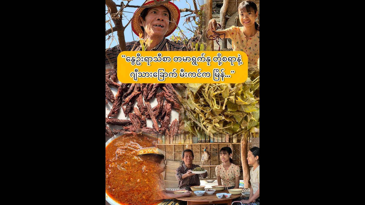 “ဂျီသားခြောက်မီးကင်နဲ့ တမာရွက်နု တို့စရာအစုံ…”