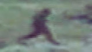 EP 22: Looking Back: The Memorial Day Footage