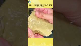 Removing Duck Feathers With Wax