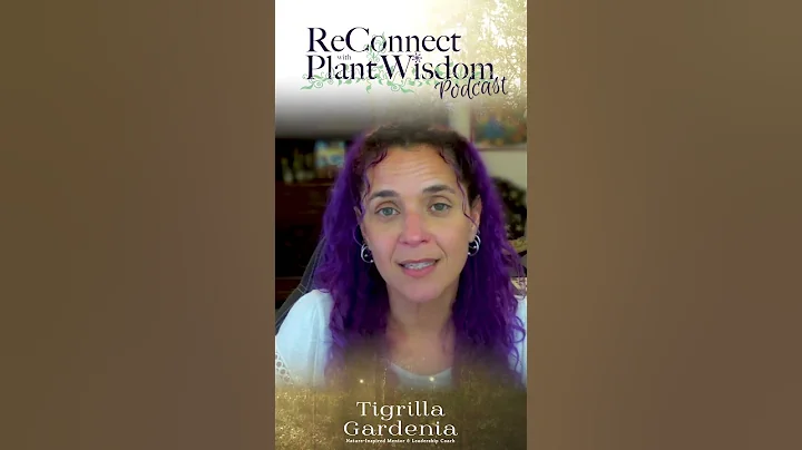 What is the talent hidden in my limiting belief? Transform Blocks into Expansion #shorts #evolve