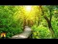 🔴 Relaxing Music 24/7, Stress Relief Music, Sleep Music, Meditation Music, Study, Calming Music