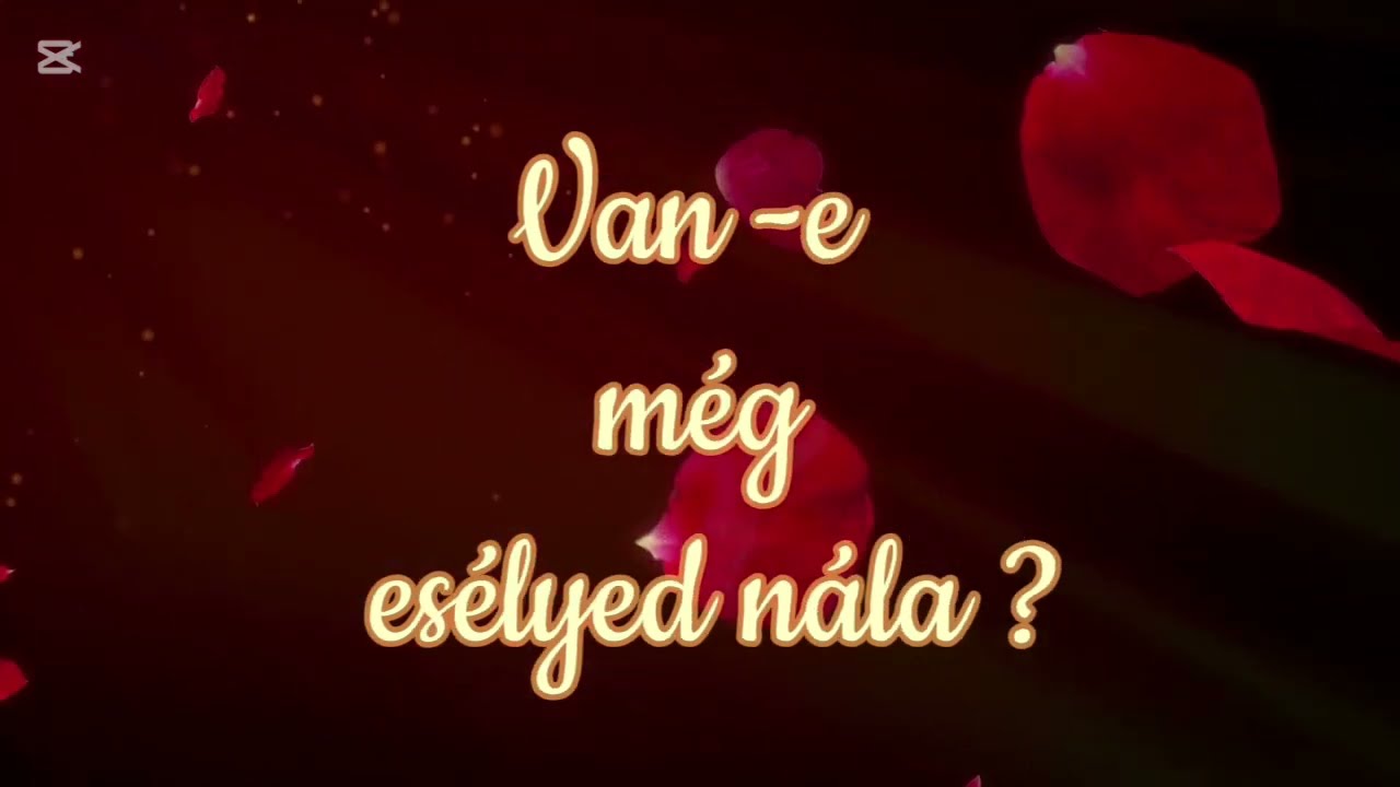 Van-e még esélyed nála ? ♥️🍀 #tarot #lenormand #oracle 