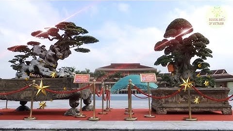 2 tác phẩm lớn tại Triển lãm Sinh vật cảnh Bắc Ninh 2020  #Shorts