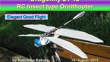 Dragonfly21-12 with Wing flapping amplitude change system: Elegant Good Flight2