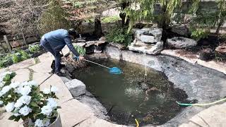 Pond setup and maintenance