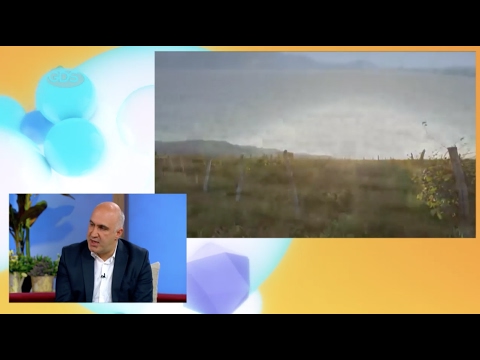 ფასდაკლების კვირეული კახეთში