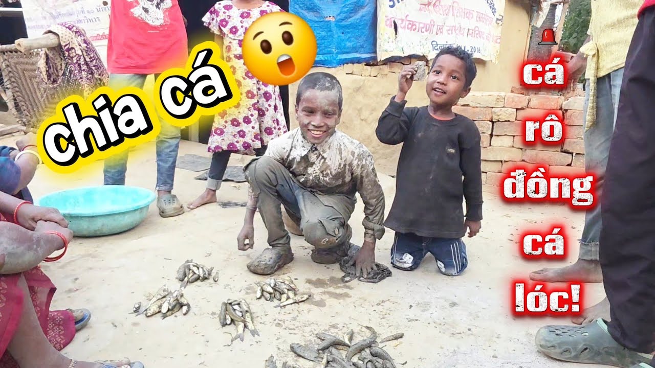 Cả xóm mò cá về chia nhau mỗi nhà mấy con nấu bữa tối! #quangthanhvlog #Quangthanhvlog