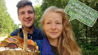 First Time Mushroom Picking in Latvia | Countryside Living