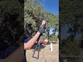 Bulgarian AKM