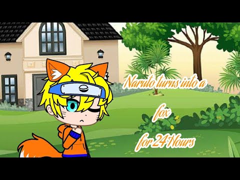 Video Naruto becomes a fox for 24 hrs |part 1| - youtube