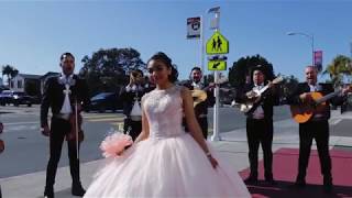 Fernanda's XV Highlights