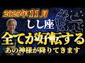 【11月の獅子座】ようやく苦労が終わります✨今までよく頑張りました【12星座占い】