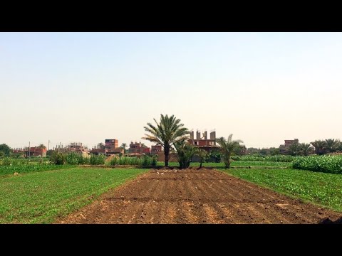 الريف المصري