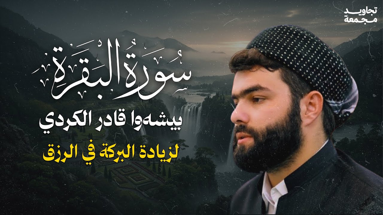 رقية للمنزل وزيادة البركة .. تلاوة مباركة لسورة البقرة | القارئ الشيخ بيشةوا الكردي | تجاويد مجمعة