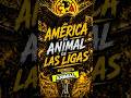 “América vs Pumas en Liguilla 😤 ¿Quién pesa más: el líder o el rey de liguillas?”