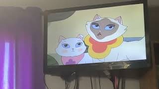 Closing To Sagwa The Chinese Siamese Cat Best Friends 2003 Vhs