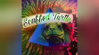 Good Times - DnB - Scuffed Turtle