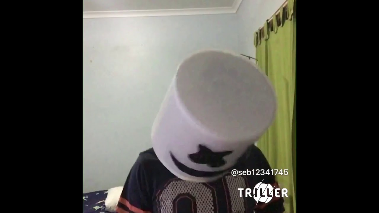 Bluey - Bluey Theme Tune (Triller Music Video)