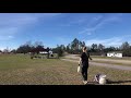 Girl takes amazing frisbee trick shot  1102505